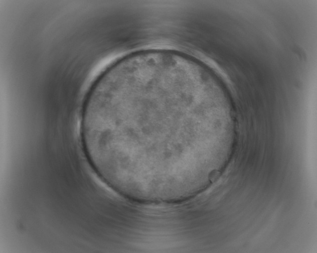 X0000113601416200910161855