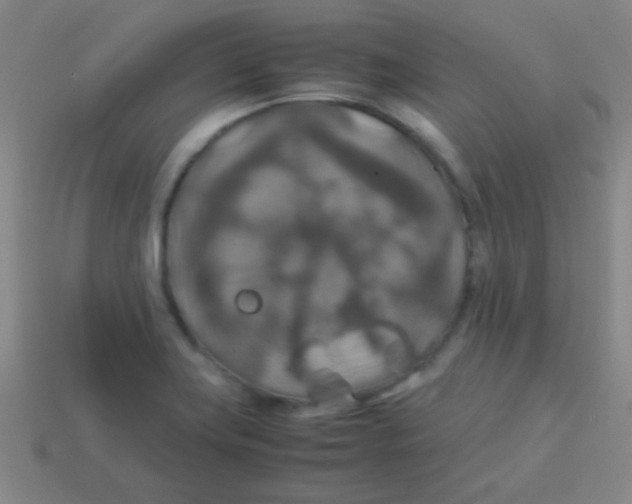 X0000113601419200910161855