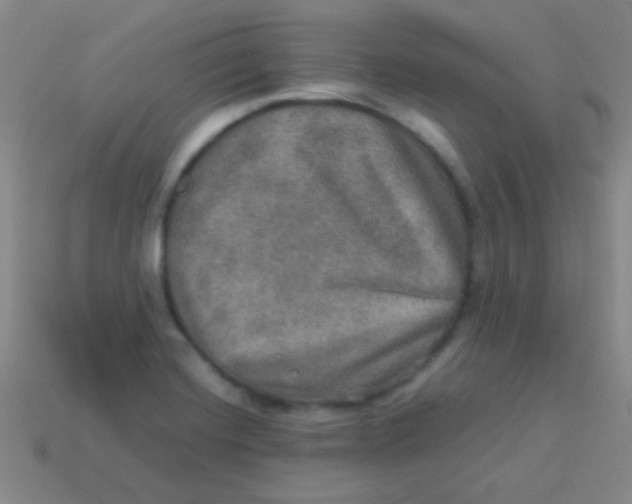 X0000113601420200910161855