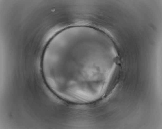 X0000113601422200910161855