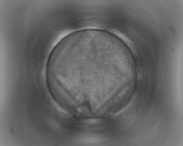 X0000113601423200910161855