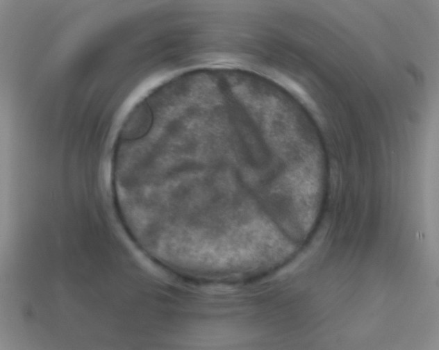 X0000113601424200910161855