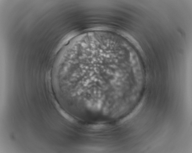 X0000113601425200910161855