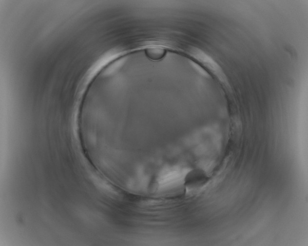 X0000113601427200910161855