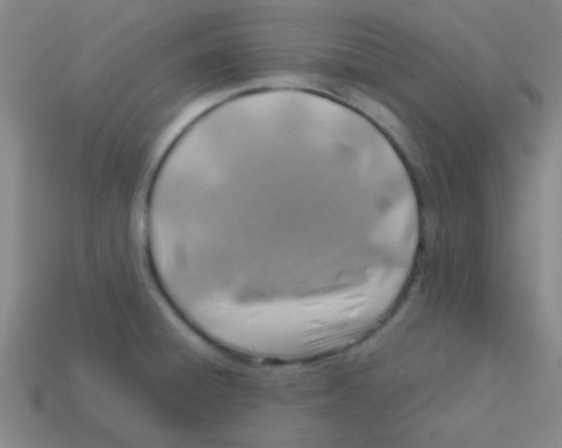 X0000113601428200910161855