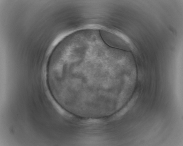 X0000113601430200910161855