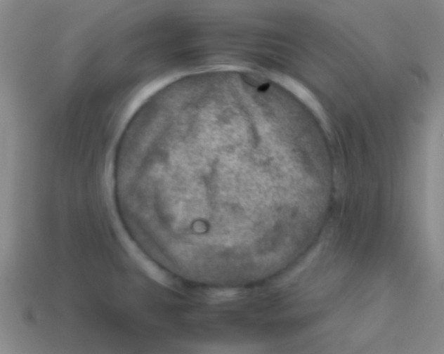 X0000113601431200910161855