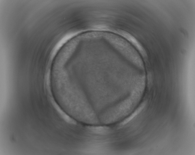 X0000113601432200910161855