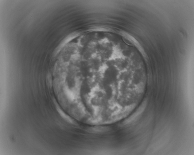 X0000113601433200910161855