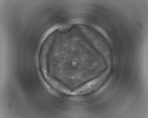 X0000113601434200910161855