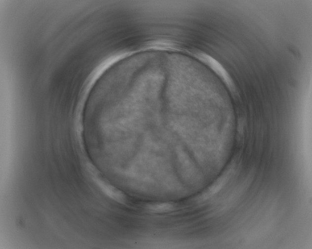 X0000113601435200910161855