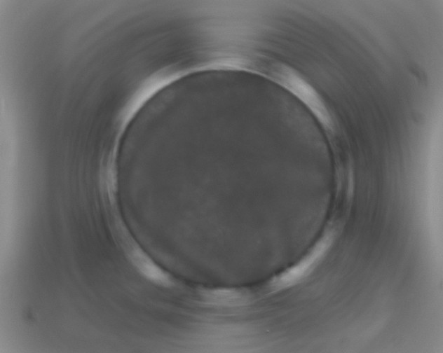 X0000113601436200910161855