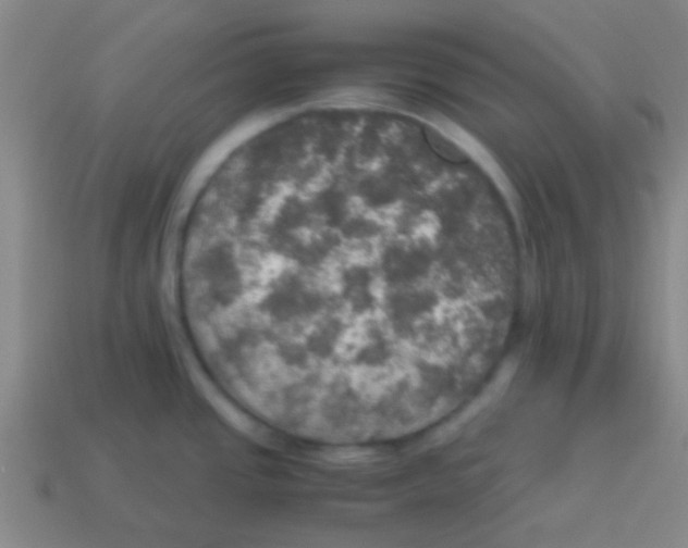 X0000113601437200910161855