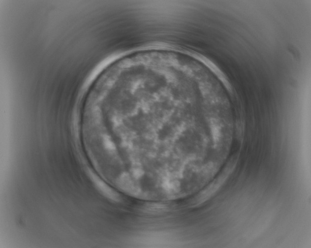 X0000113601438200910161855