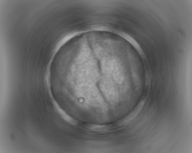 X0000113601439200910161855