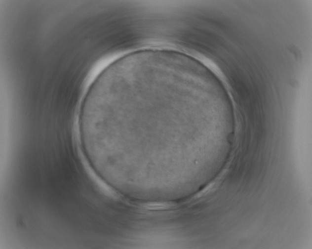 X0000113601440200910161855