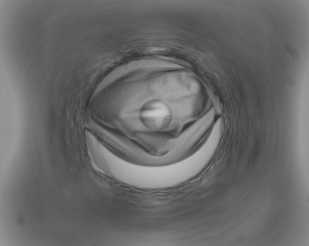 X0000113601441200910161855