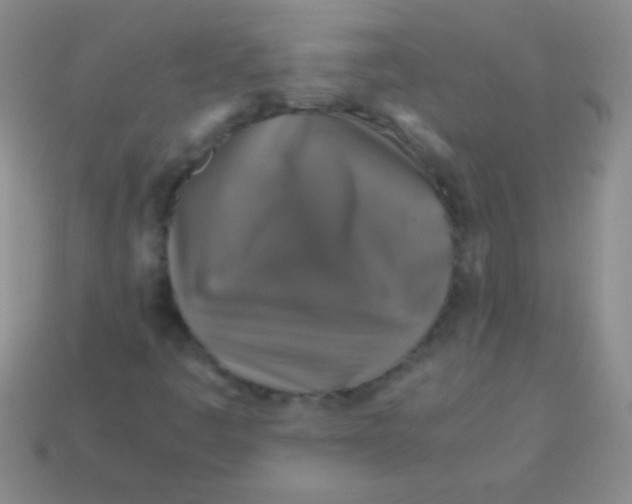 X0000113601445200910161855