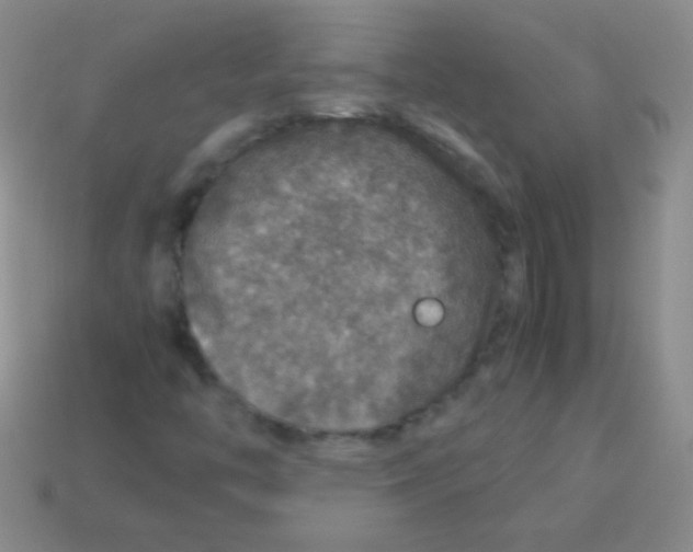 X0000113601446200910161855