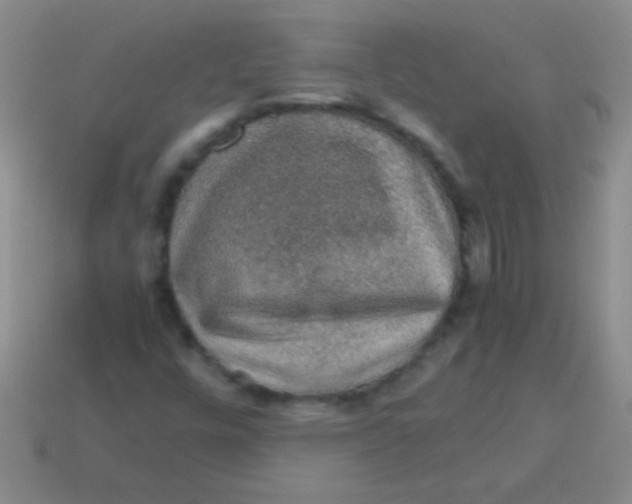 X0000113601448200910161855