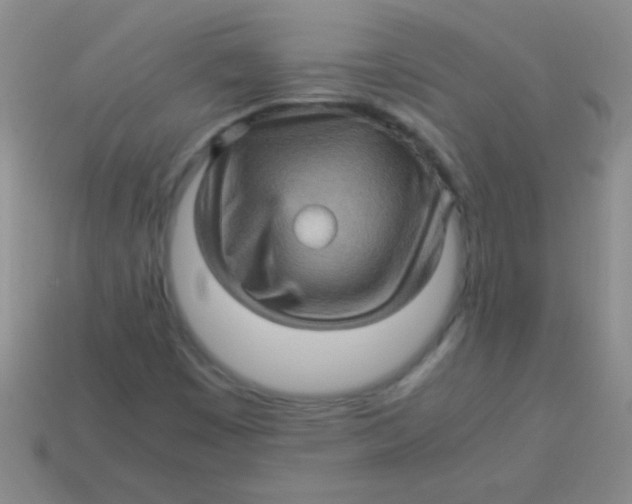 X0000113601449200910161855