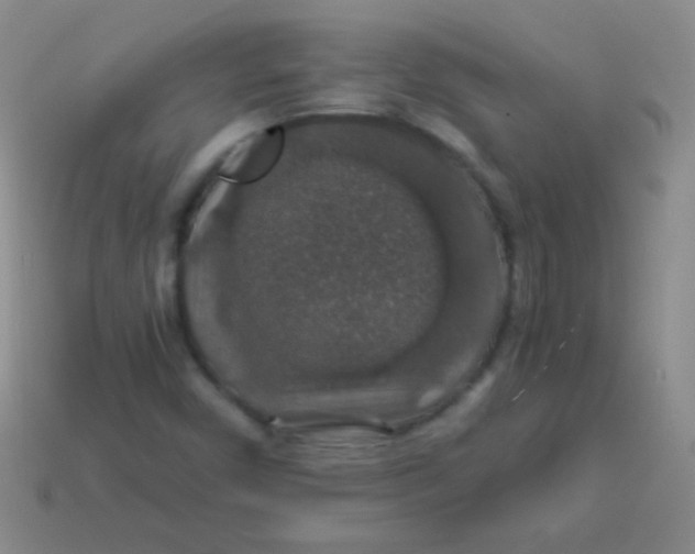 X0000113601450200910161855