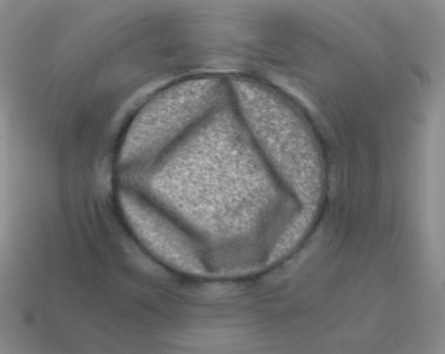 X0000113601451200910161855