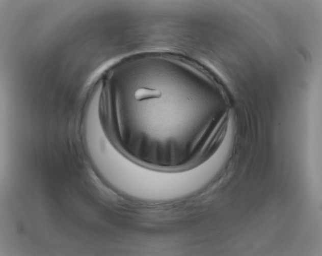 X0000113601452200910161855