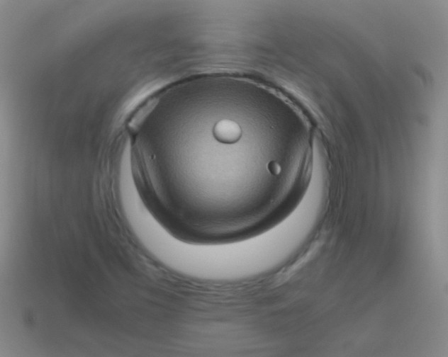 X0000113601453200910161854