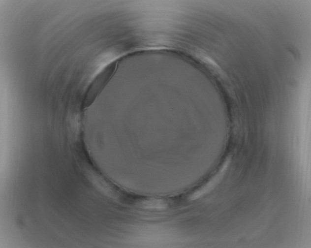 X0000113601457200910161854