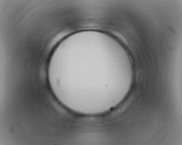 X0000113601458200910161854