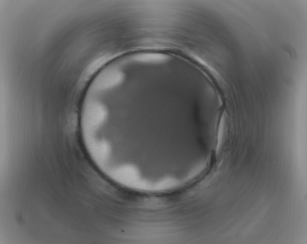 X0000113601459200910161854