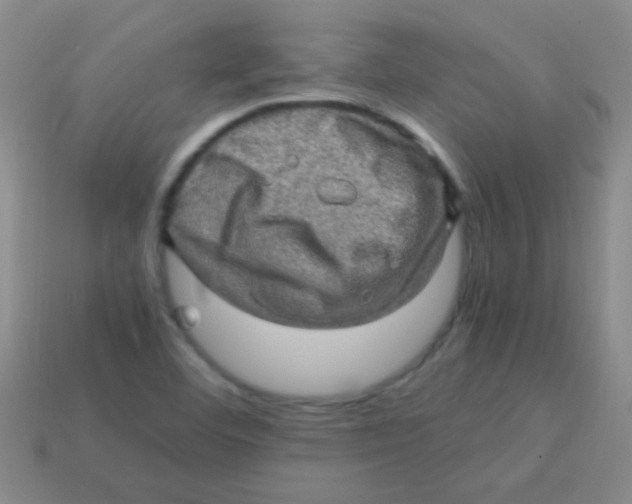 X0000113601460200910161854