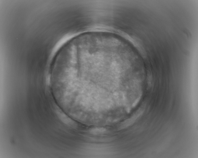 X0000113601462200910161854