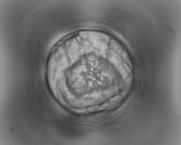 X0000113601463200910161854