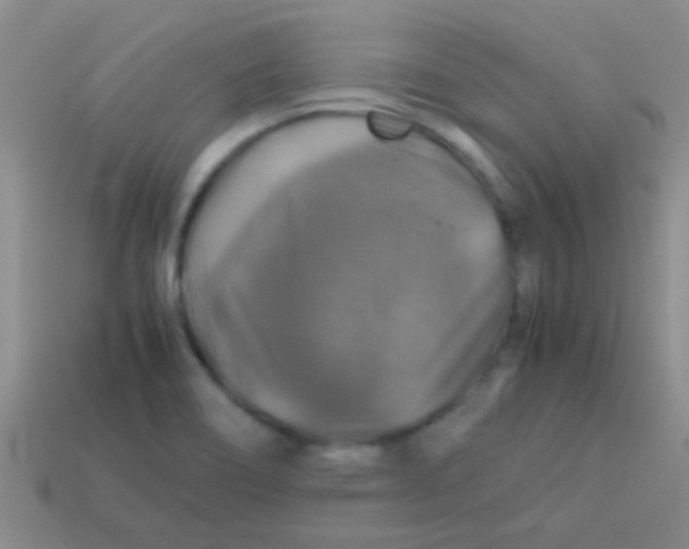 X0000113601466200910161854