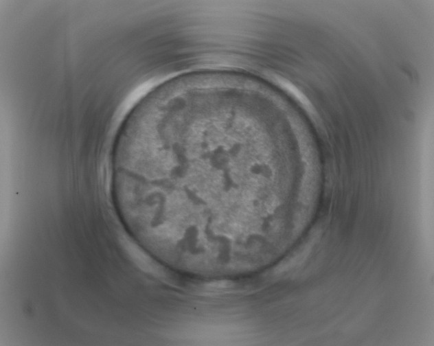 X0000113601467200910161854