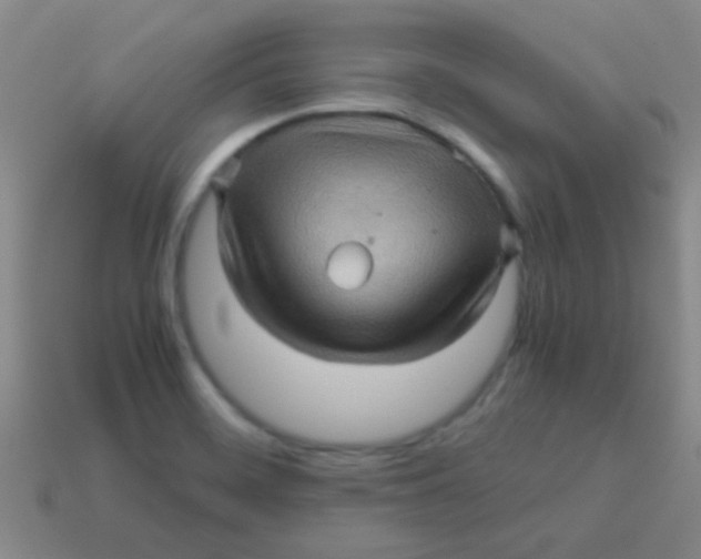 X0000113601468200910161854