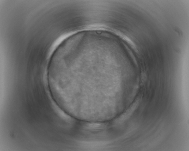 X0000113601470200910161854