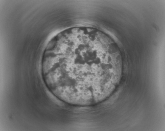 X0000113601471200910161854