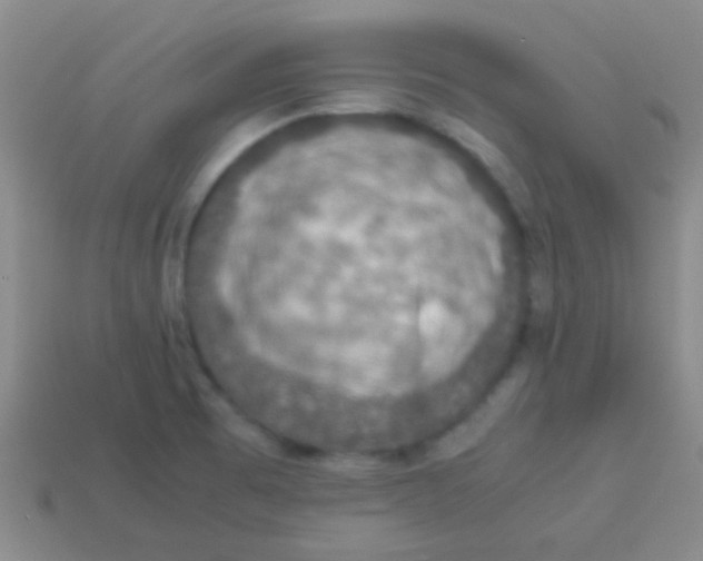 X0000113601473200910161854