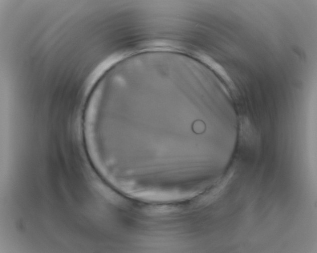 X0000113601474200910161854