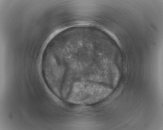 X0000113601475200910161854