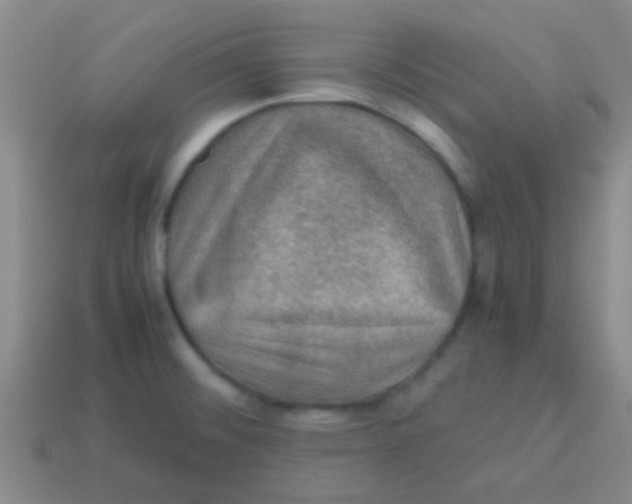 X0000113601476200910161854