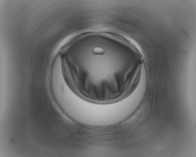 X0000113601477200910161854