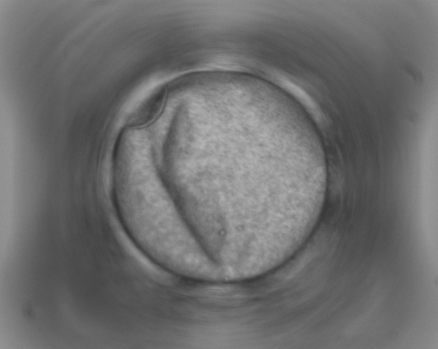 X0000113601479200910161854