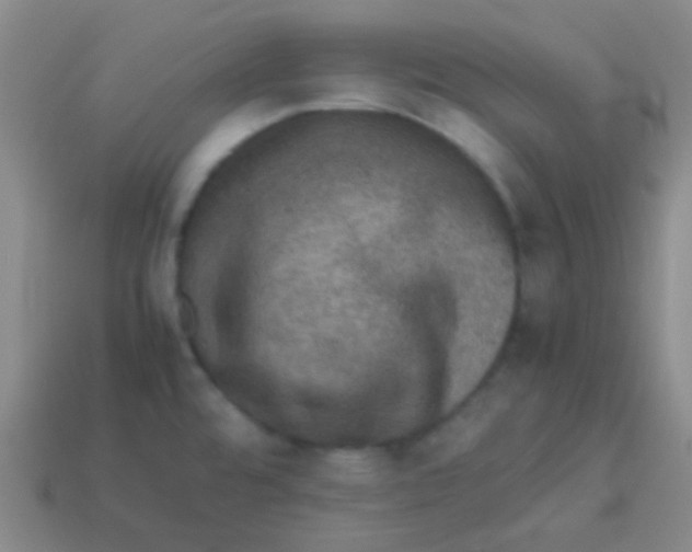 X0000113601480200910161854