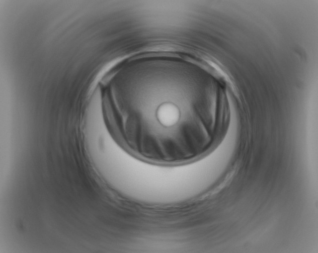 X0000113601481200910161854