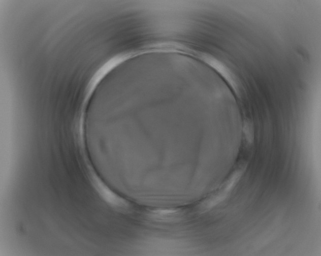 X0000113601482200910161854