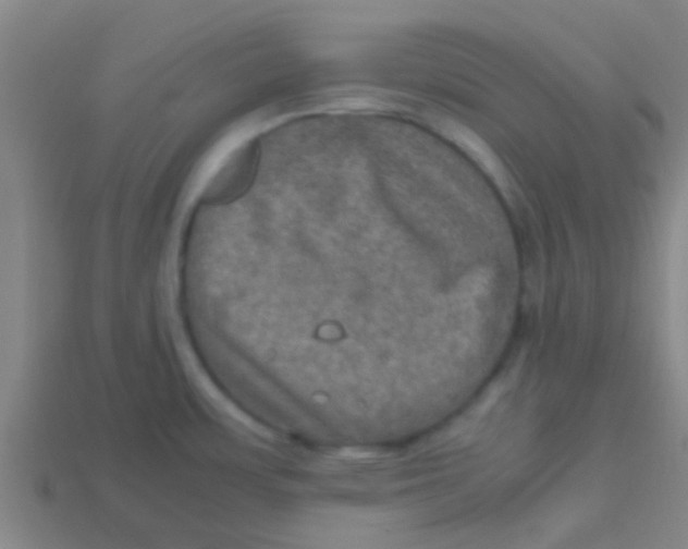 X0000113601483200910161854